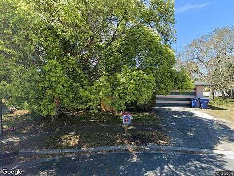 Bottle Brush, PORT RICHEY, FL 34668