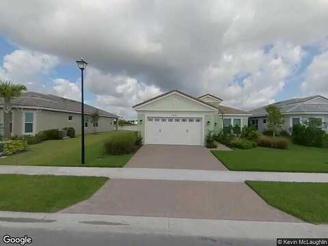 Buttonbush, LOXAHATCHEE, FL 33470