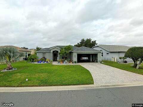 Macaw, LAKELAND, FL 33809