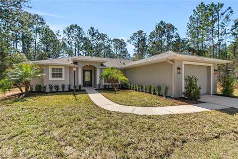 Mango, BUNNELL, FL 32110