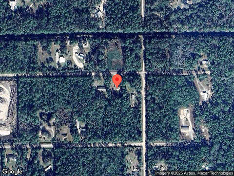 Mango, BUNNELL, FL 32110
