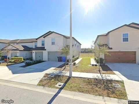 Companion, TAMPA, FL 33619