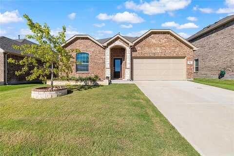 Ventura, LITTLE ELM, TX 75068