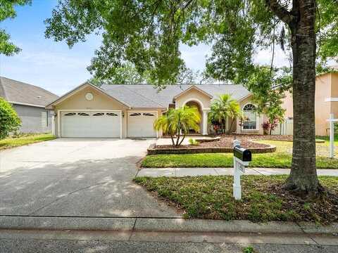 Felecity, PALM HARBOR, FL 34685