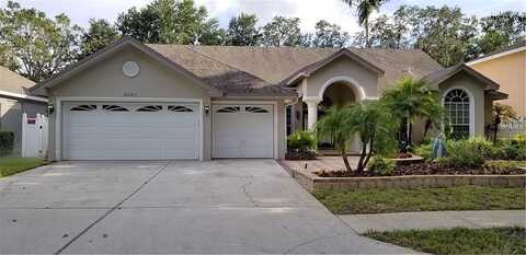 Felecity, PALM HARBOR, FL 34685