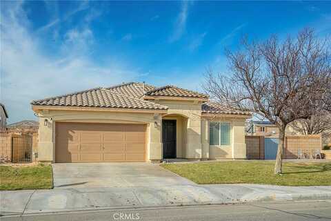 Dusky Willow, LANCASTER, CA 93536