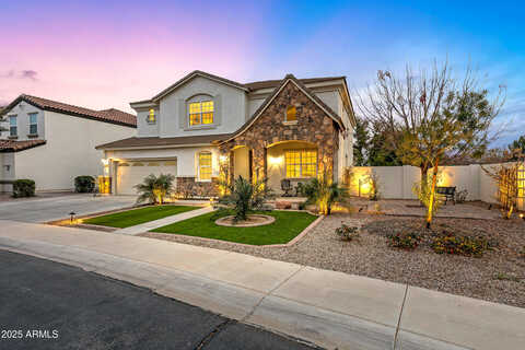 Mead, CHANDLER, AZ 85249