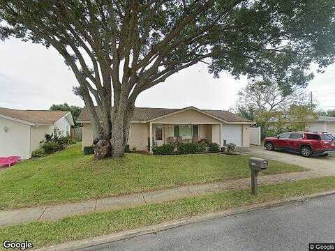 Cockatoo, HOLIDAY, FL 34690