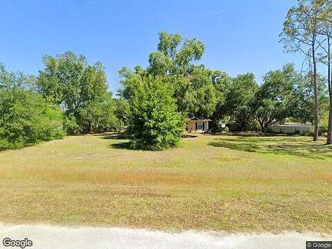Eloian, WESLEY CHAPEL, FL 33545