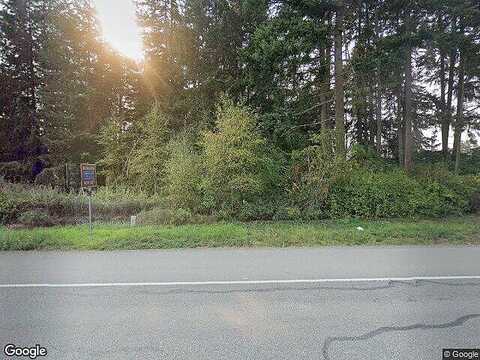 Mountain, SPANAWAY, WA 98387