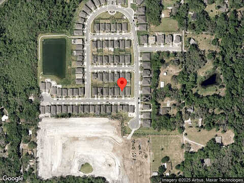 Hinoki Cypress, SANFORD, FL 32773
