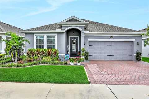 Hinoki Cypress, SANFORD, FL 32773