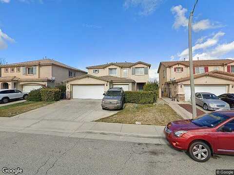 Chicory, PALMDALE, CA 93551