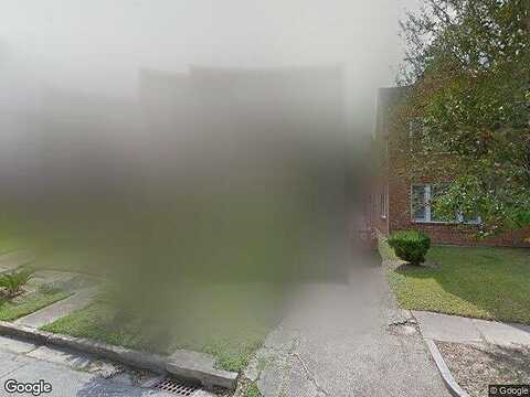 Palm, HOUSTON, TX 77004