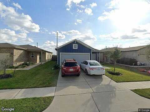Bottlebrush Sedge, KATY, TX 77493