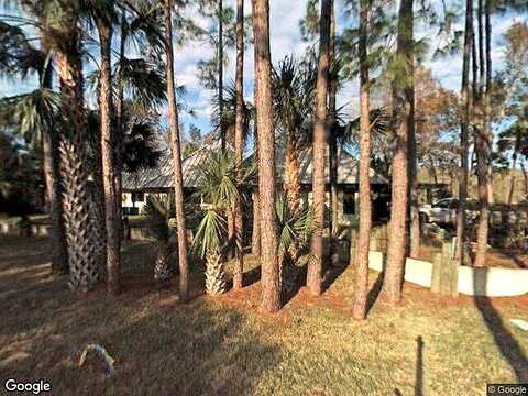 Mink, ASTOR, FL 32102