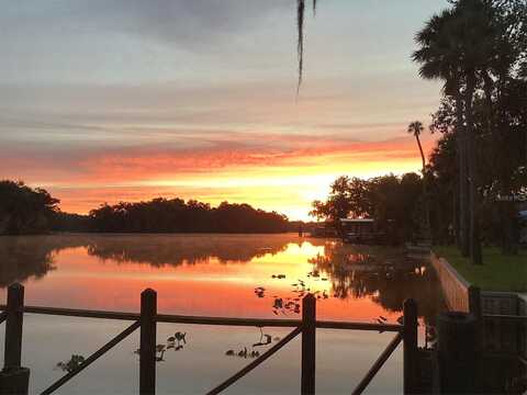 Mink, ASTOR, FL 32102