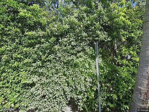 Jungle, PALM BEACH, FL 33480