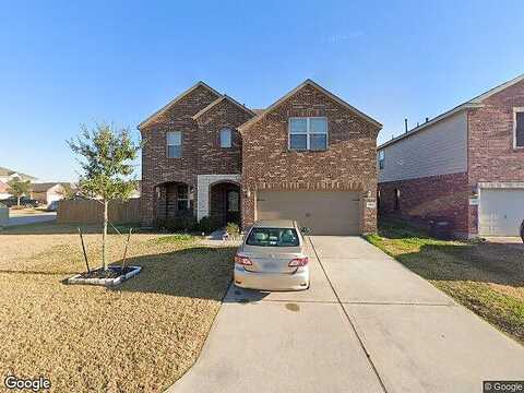 Norway Maple, TOMBALL, TX 77375