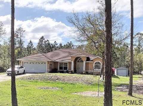 Guava, BUNNELL, FL 32110