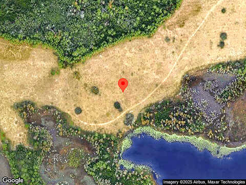 Saw Palmetto, CLERMONT, FL 34714