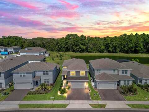 Saw Palmetto, CLERMONT, FL 34714