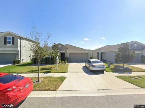 Sunshine Mimosa, WIMAUMA, FL 33598