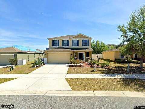 Prairie Falcon, GROVELAND, FL 34736