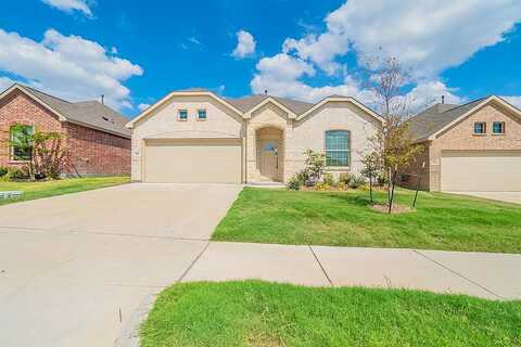 Reunion, CRANDALL, TX 75114
