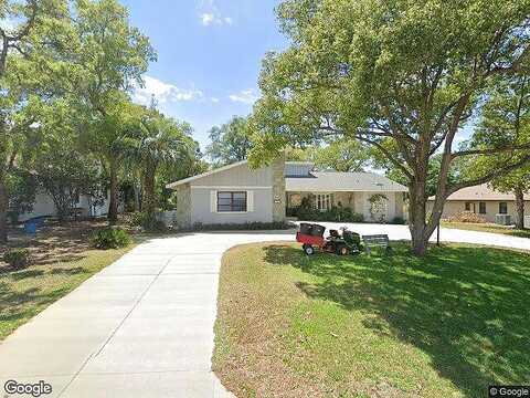 Graytwig, HOMOSASSA, FL 34446