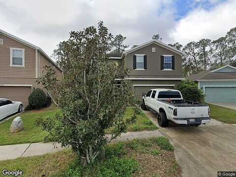 Swaying Moss, RIVERVIEW, FL 33569