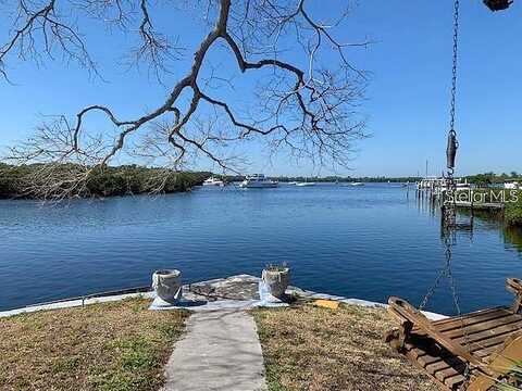 Carmelina, RUSKIN, FL 33570