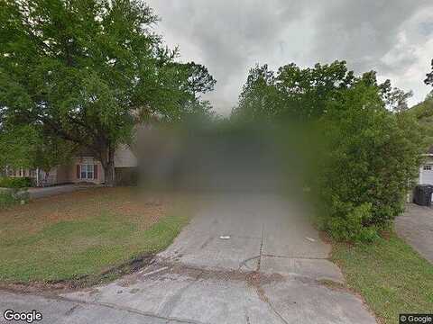 Tortoise, BRUNSWICK, GA 31525