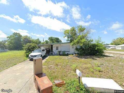 Hibiscus, PORT RICHEY, FL 34668