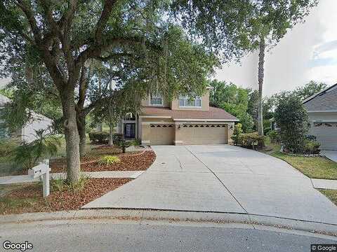 Evergreen Hill, TAMPA, FL 33647