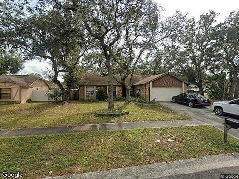 Elm Grove, VALRICO, FL 33596