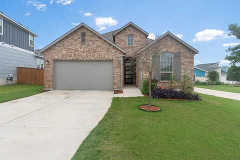 Brindle, MANOR, TX 78653