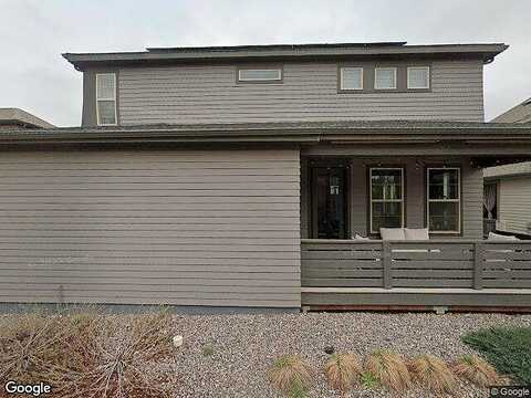 Inca Dove, LITTLETON, CO 80125