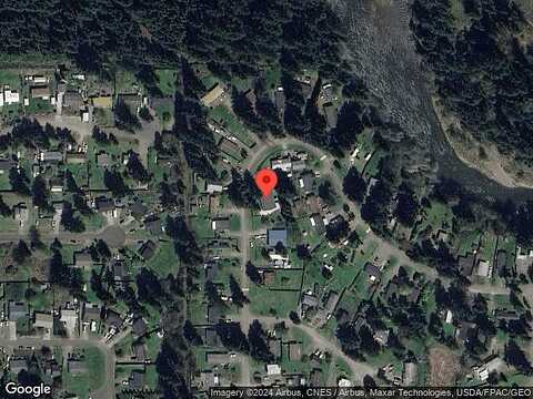 Thuja, YELM, WA 98597