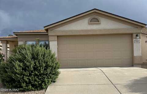Rooner, TUCSON, AZ 85730