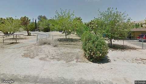 Deer, YUCCA VALLEY, CA 92284