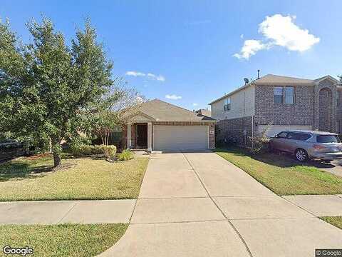 Camelia Evergreen, RICHMOND, TX 77407