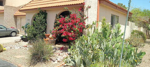 Camino De La Noche, TUCSON, AZ 85718