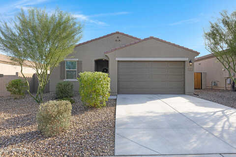 Stonecrop, SAN TAN VALLEY, AZ 85144