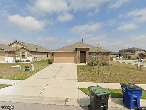 Camellia, HUTTO, TX 78634