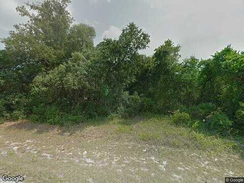 Amberjack, KISSIMMEE, FL 34759
