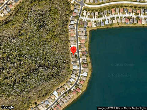 Fiddle Leaf, LAKELAND, FL 33811