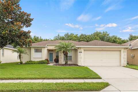Fiddle Leaf, LAKELAND, FL 33811