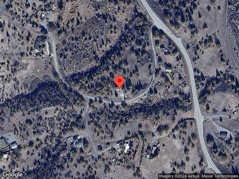 Racoon, HORNBROOK, CA 96044