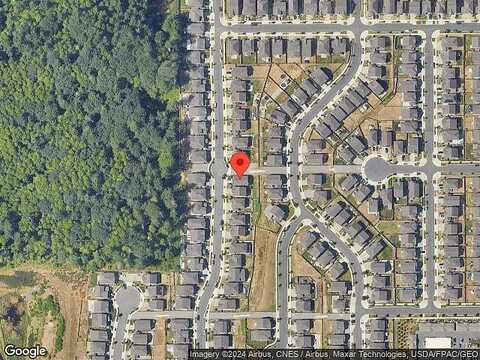 Fiddleback, LACEY, WA 98516